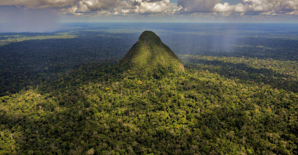 CIFOR at COP 25: A simple idea, REDD+ meets a complex reality