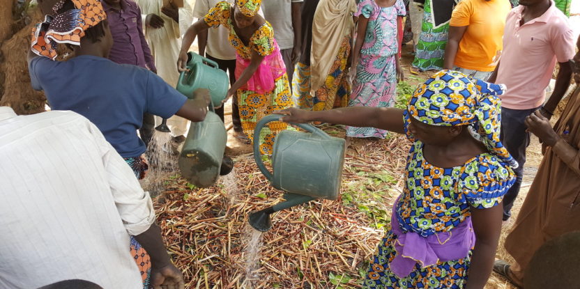 People pour water from watering cans onto decomposing vegetation