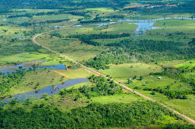 Study shows how land use is disrupting forest carbon sinks