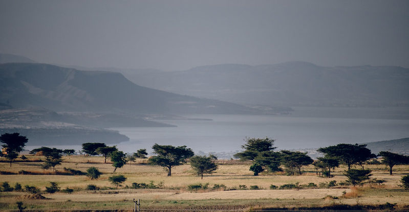 A view of arid fields dotted with trees and a large lake and mountains in the distance