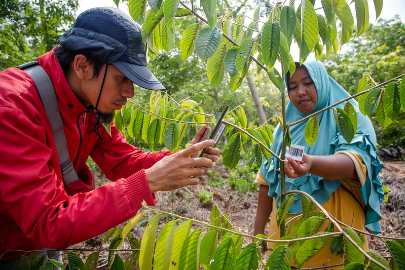 Aplikasi Ponsel Memudahkan Pemantauan Upaya Restorasi Lahan Gambut ...