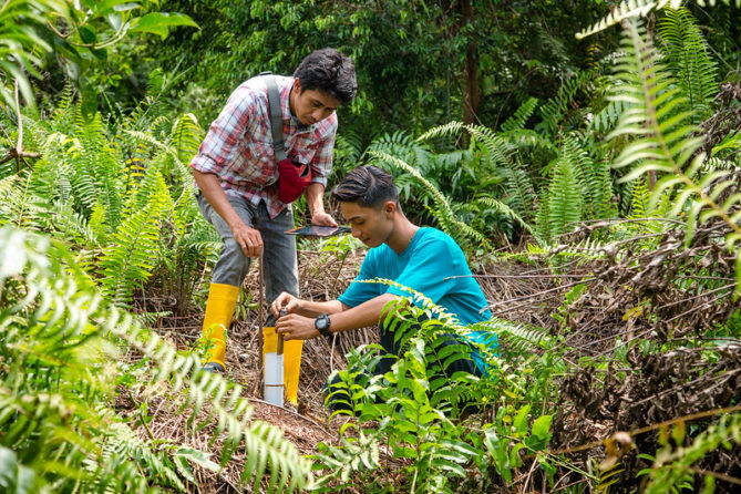 Mobile App Simplifies Peatland Restoration Monitoring Efforts In ...