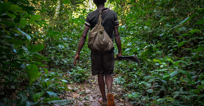 A man walks on a path in the forest holding a rifle by his side