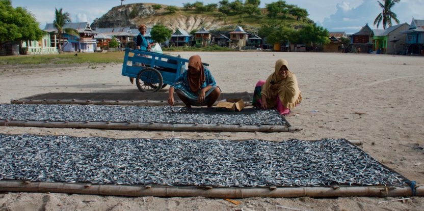 Women dry fish