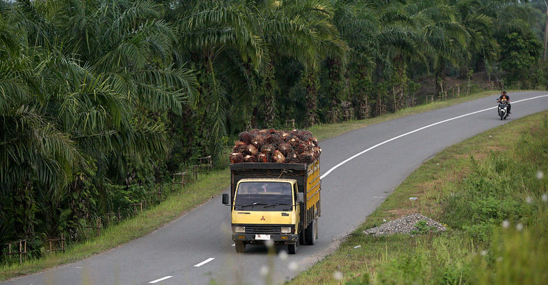 A truck laden with fruit drives down a highway