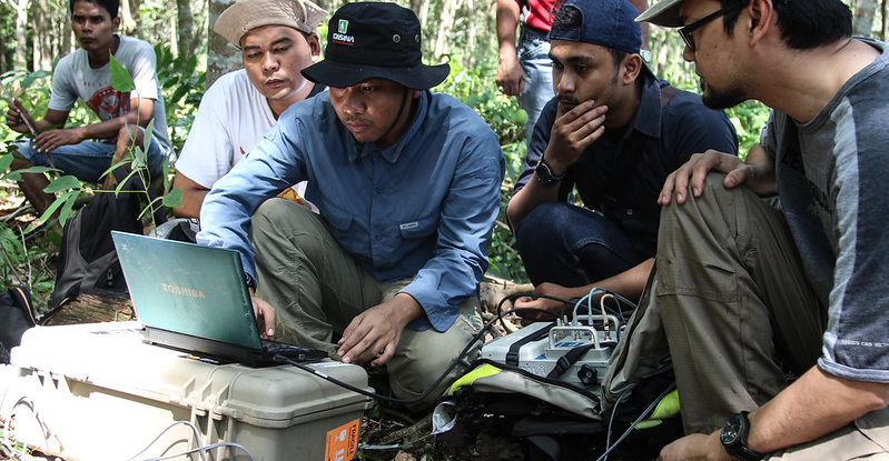 Scholars look at a laptop screen in the Indonesian peatlands