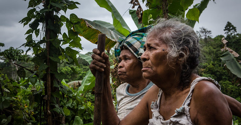 Women stand in their garden