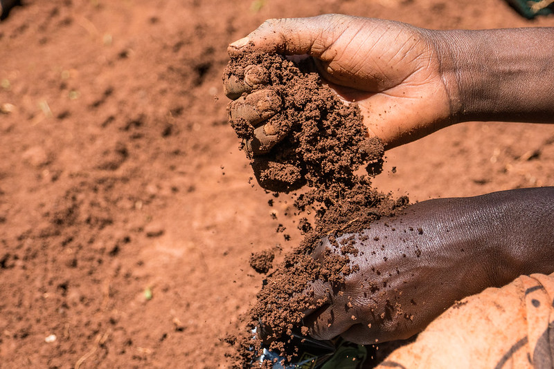 GLF talks dig deep on food security, soils and social inclusion