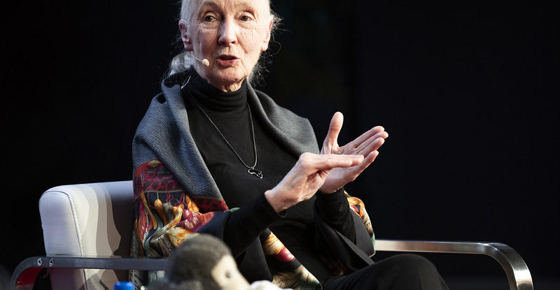 Jane Goodall discusses food security and the growing human population