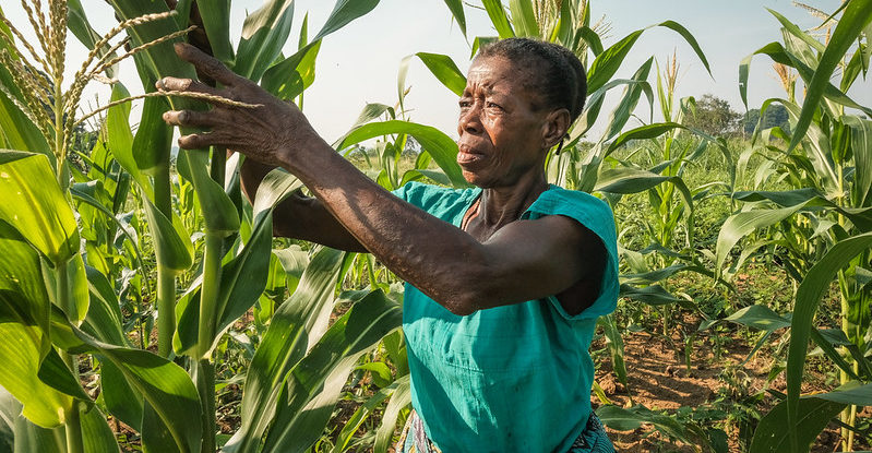 The emergence of the coronavirus has put the world on the brink of a major famine