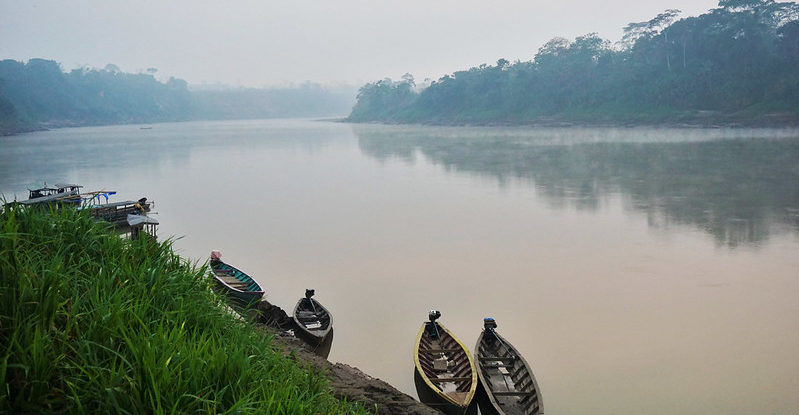 Boats hug the shoreline on a river