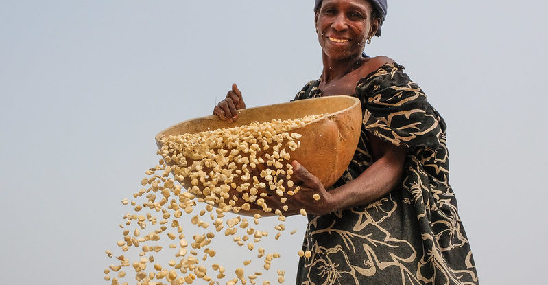 A woman shakes maize kernels out of a large bowl