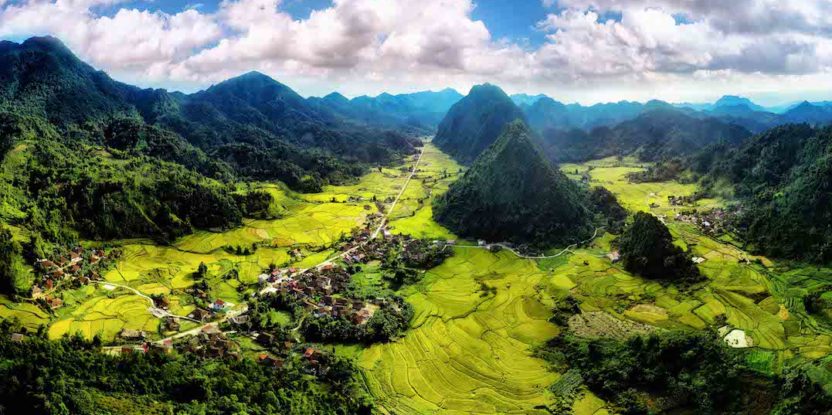 A lush green landscape in Vietnam