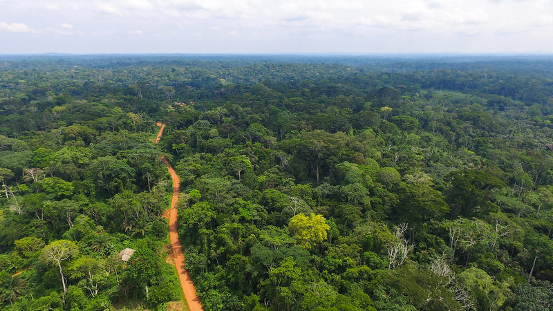 Tracking REDD+: A story of remuneration and rewards for avoided deforestation in Central Africa