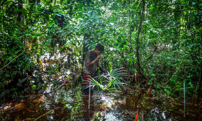 Measuring carbon