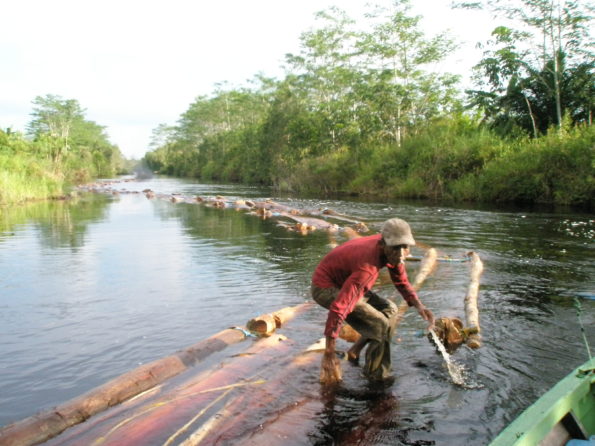 Progress And Perils In Indonesia’s Peatland Restoration Journey - CIFOR ...