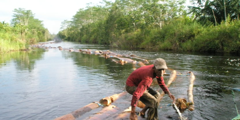 A man transport logs in a canal in Indonesia