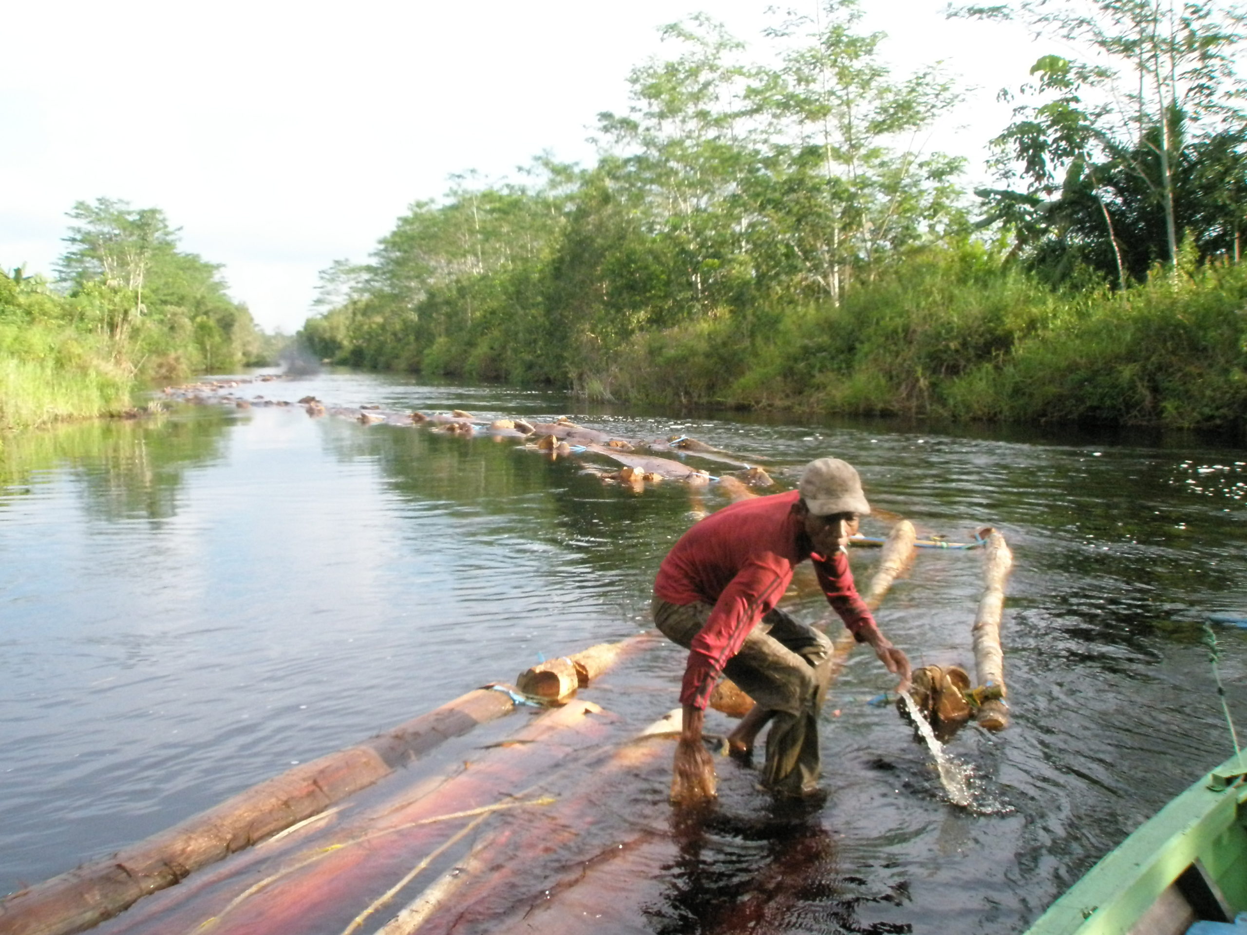 A man transport logs in a canal in Indonesia