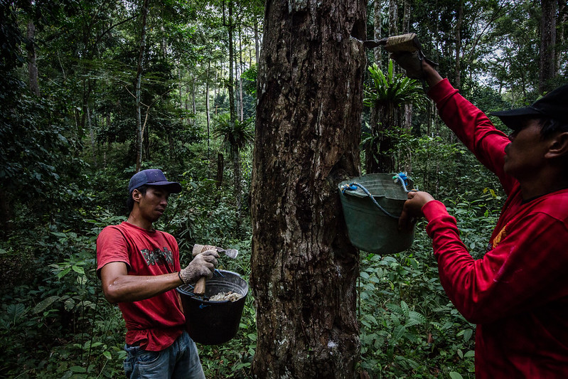 Results-based payments in Indonesia: A strategy to move REDD+ forward?