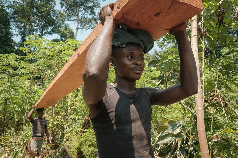 Finding effective ways to ensure sustainable supplies of forest-risk commodities