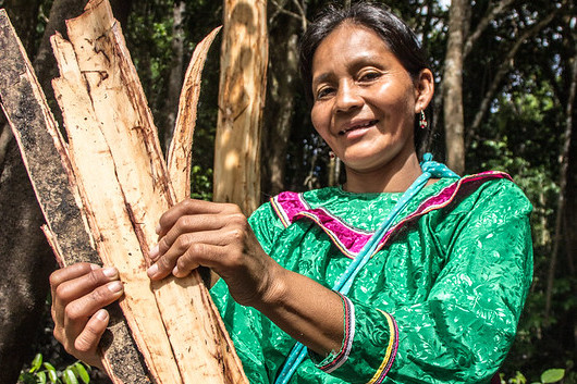 A woman in a green dress holds firewood