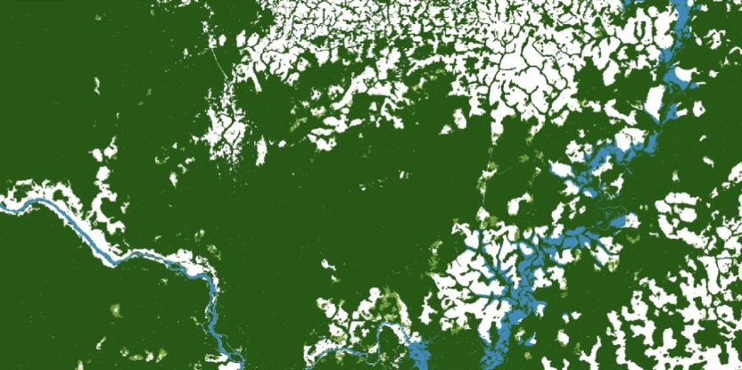 Image shows a satellite image of deforestation in Cameroon in green, white and blue