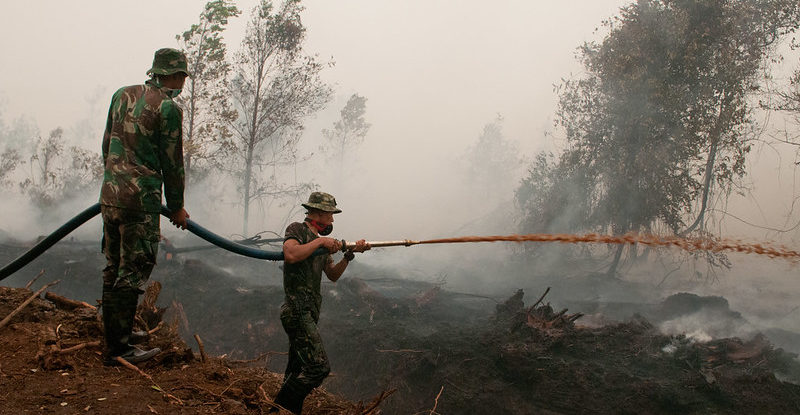 An image of army officers in camouflage uniforms spraying water in smoke covered peatland areas