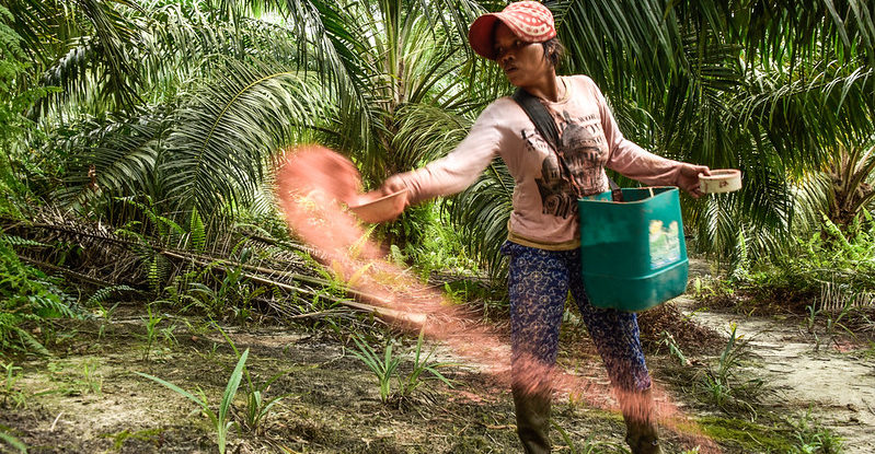 A woman wearing a bag on her side, scatters fertilizer from a bowl
