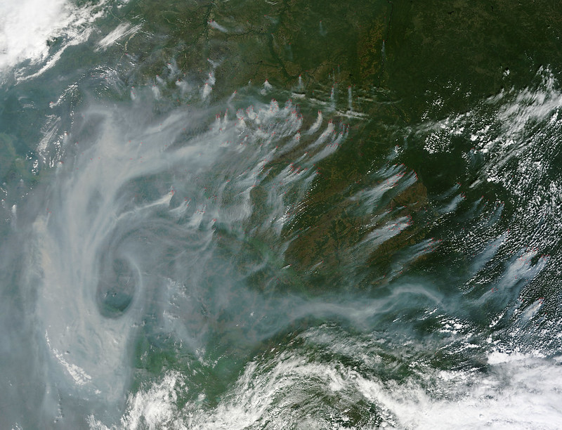 Wildfires in Siberia are predictable through wind speed trends, analysis shows