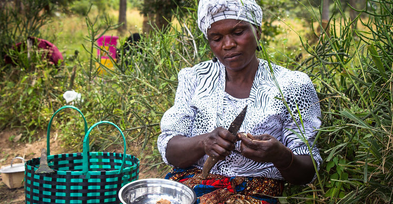 A seated woman cuts food over a bowl