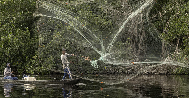 Men in boats cast fishing nets over the water