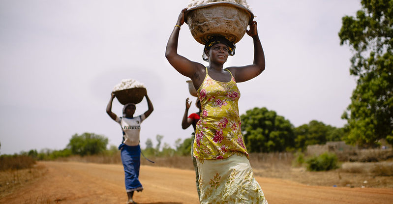 Women carry baskets full of cotton on their heads along a road