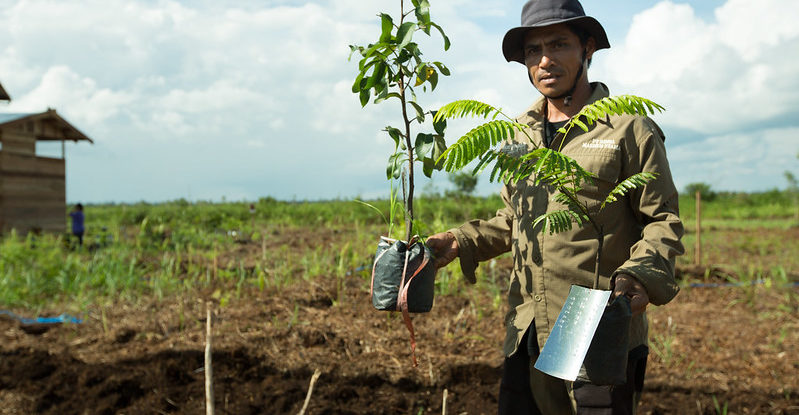 A man holds a tree and a spade