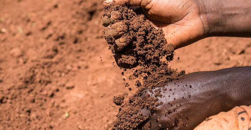 A close up of hands holding soil