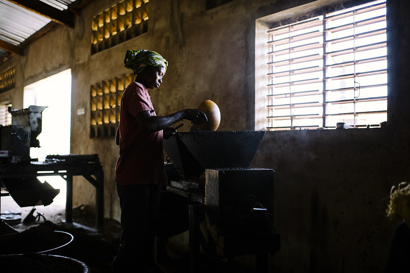 Women producers in Burkina Faso face hardship if shea industry dwindles