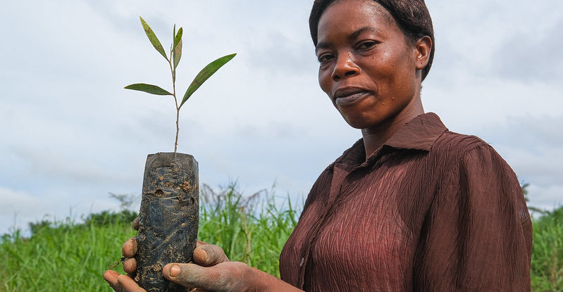 A woman holds a small tree