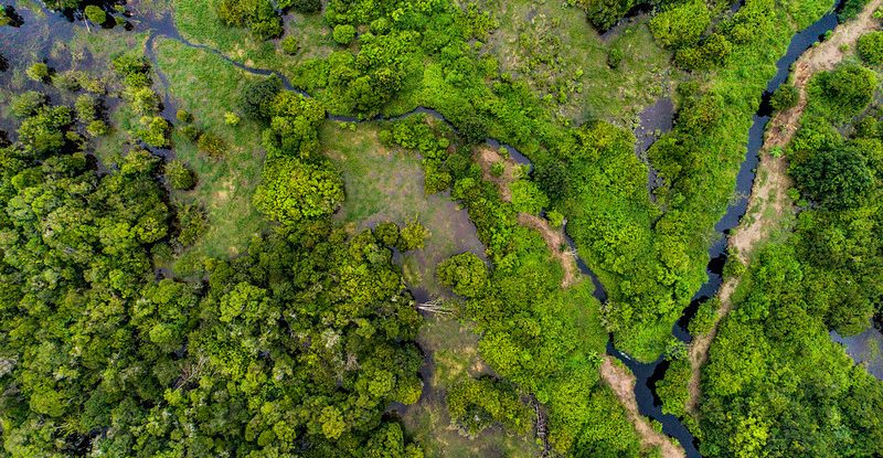 Aerial view of peatlands and water systems