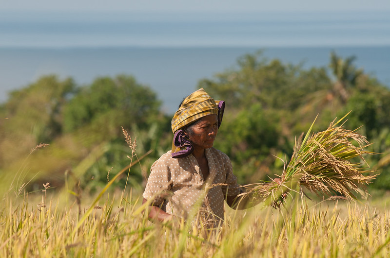 Gender equality key for sustainable landscapes and fair food systems