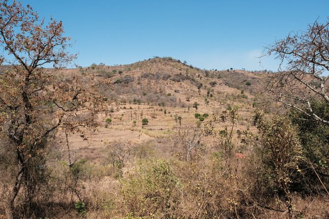 “Amenazas existenciales”, severas advertencias y esperanza en el Global Land Outlook de la ONU