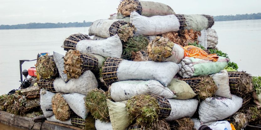 Charcoal shipment leaving for Kisangani, DR Congo. Photo by Fiston Wasanga/CIFOR