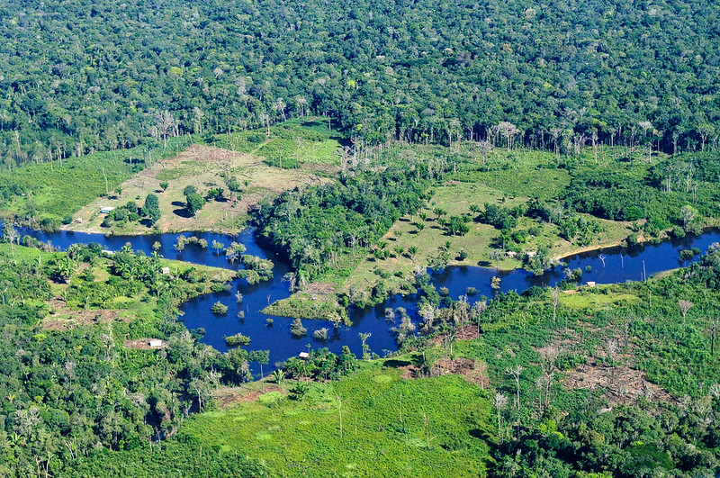 Aerial view of the  Rainforest - CIFOR Knowledge