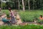 Yangambi: Building a sustainable landscape that puts people first